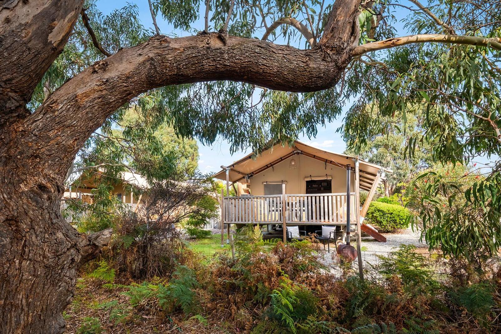 Scamander Sanctuary Holiday Park Zewnętrze zdjęcie